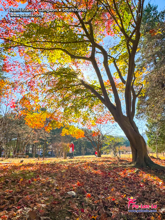 Nami Island